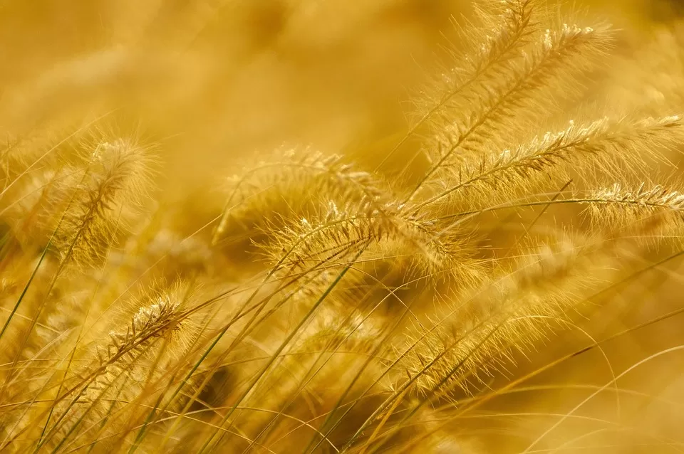 Kullanıcı Deneyimi İyileştirmenin Kısa Kontrol Listesi