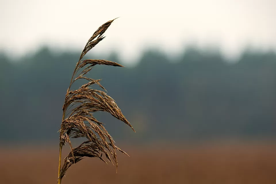 Dijinays – WordPress Dijital Ajans Teması