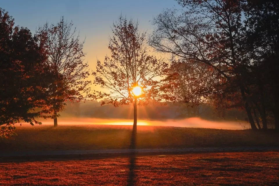 Güvenlik İçin WordPress’te Alınması Gereken Önlemler