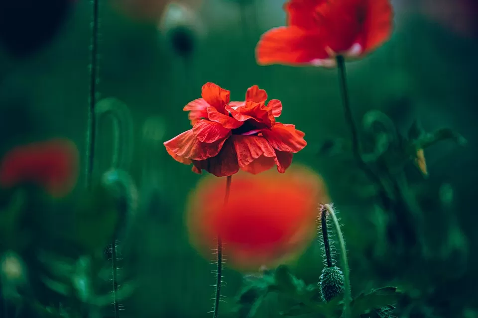 Başarılı Bir Ana Sayfa Kurgusu Nasıl Oluşturulur?