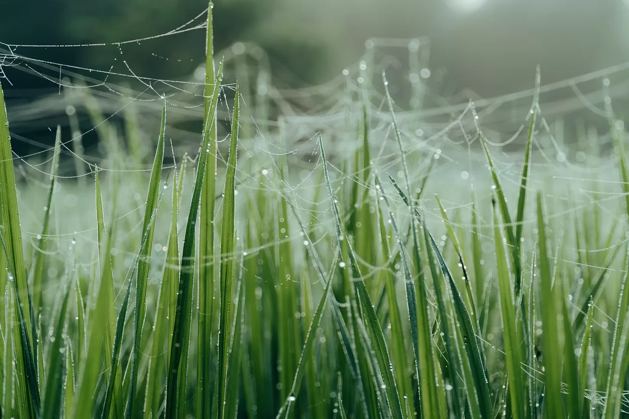 Mobil Uyumlu Site Neden Sadece “Güzel Görünmek” Değil?