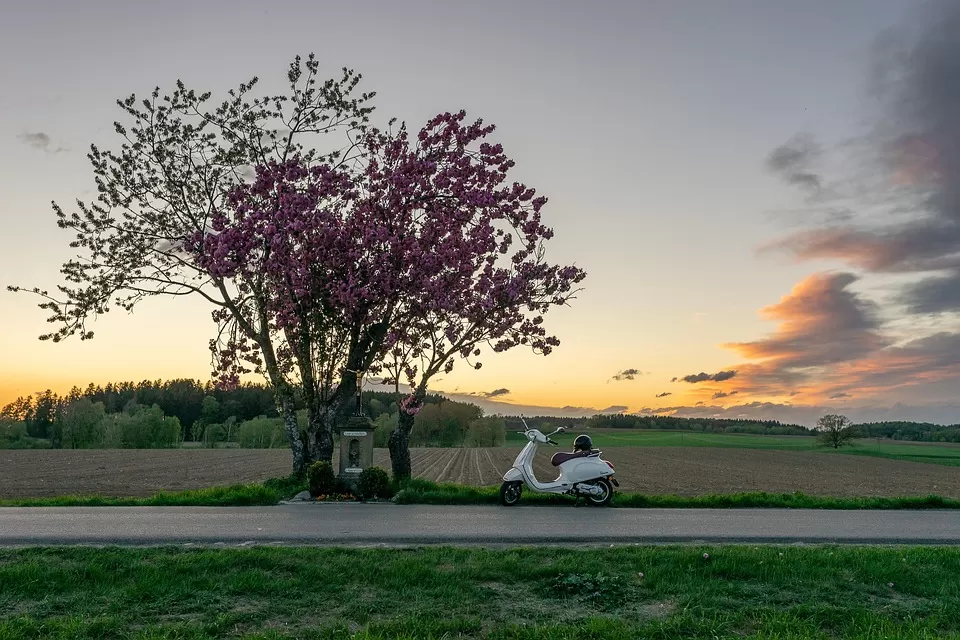 Blog İçerikleriyle Trafik Çekmenin Güncel Stratejileri